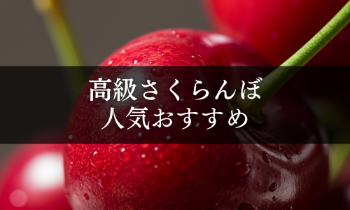 高級さくらんぼの人気おすすめ