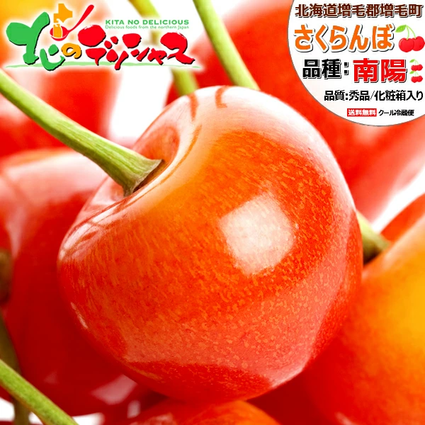北海道産 増毛町 さくらんぼ 南陽 秀品 2L以上