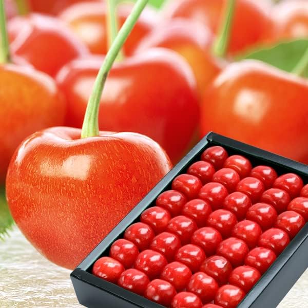 山形県産 さくらんぼ 佐藤錦 300g 特秀品 2Lサイズ