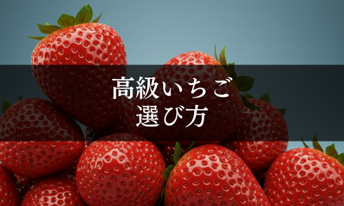 高級いちごの選び方