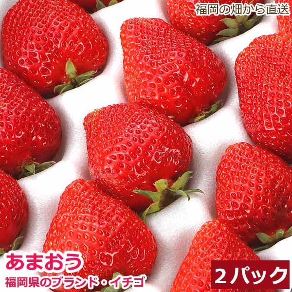 低農薬 福岡 あまおう