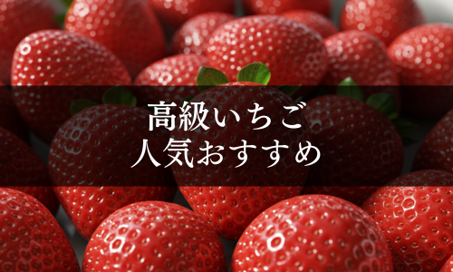 高級いちごの人気おすすめ