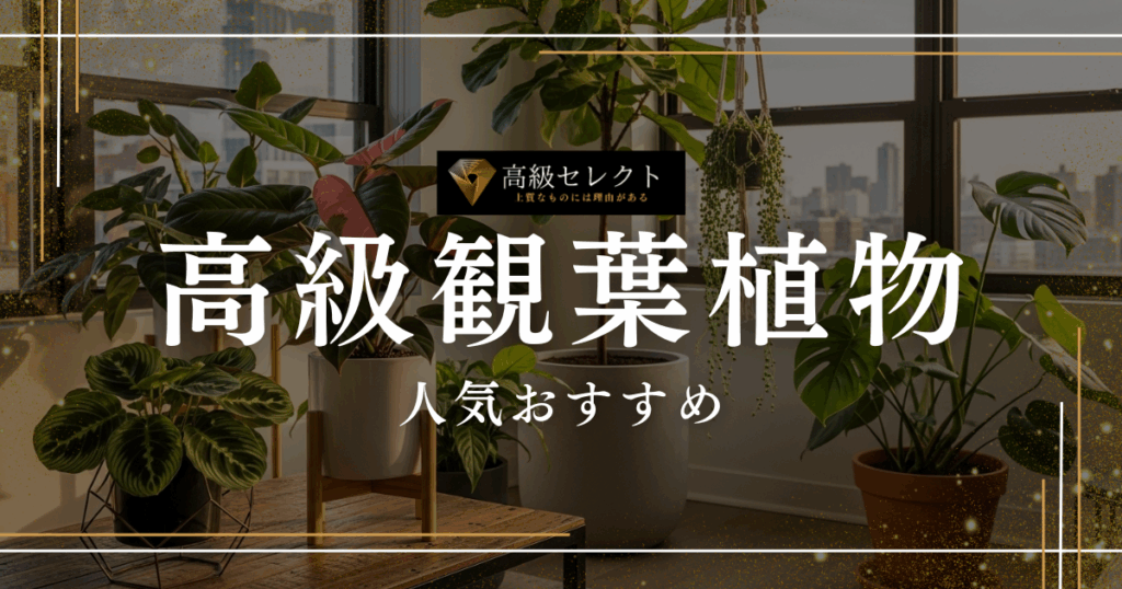 高級観葉植物の人気おすすめランキング20選まとめ！おしゃれで高級な商品を厳選