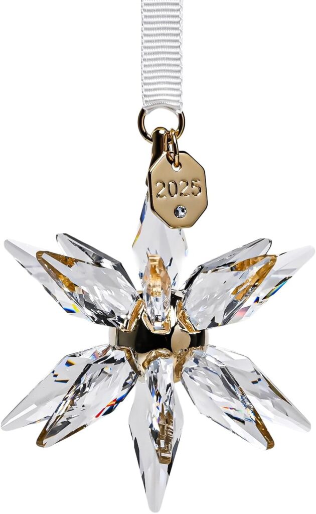 Swarovski Annual Edition スター クリア